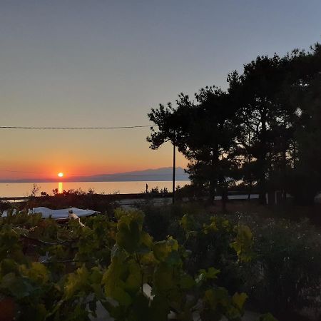 Το Σπίτι Με Το Πηγάδι - Wellcottage Thassos สกาลา กัลลีราคิส ภายนอก รูปภาพ