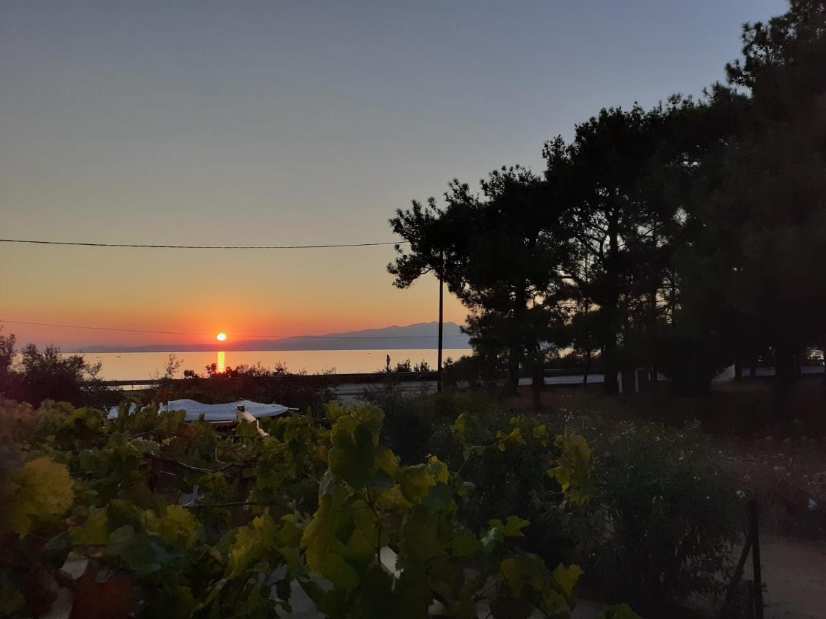 Το Σπίτι Με Το Πηγάδι - Wellcottage Thassos สกาลา กัลลีราคิส ภายนอก รูปภาพ