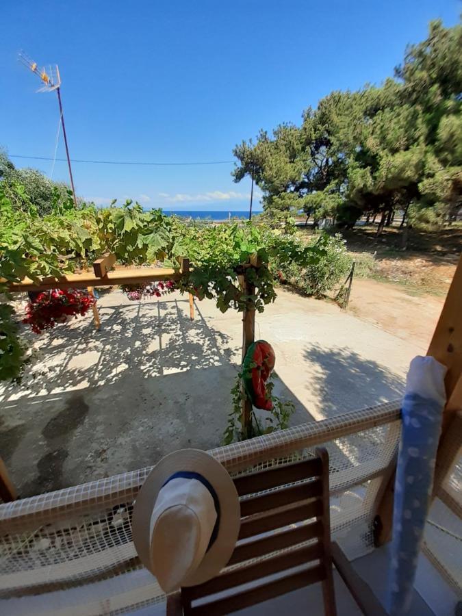 Το Σπίτι Με Το Πηγάδι - Wellcottage Thassos สกาลา กัลลีราคิส ภายนอก รูปภาพ