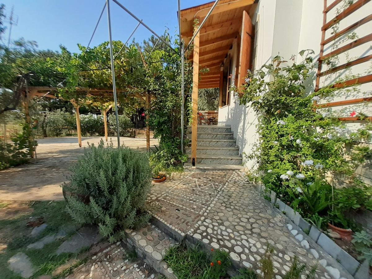 Το Σπίτι Με Το Πηγάδι - Wellcottage Thassos สกาลา กัลลีราคิส ภายนอก รูปภาพ