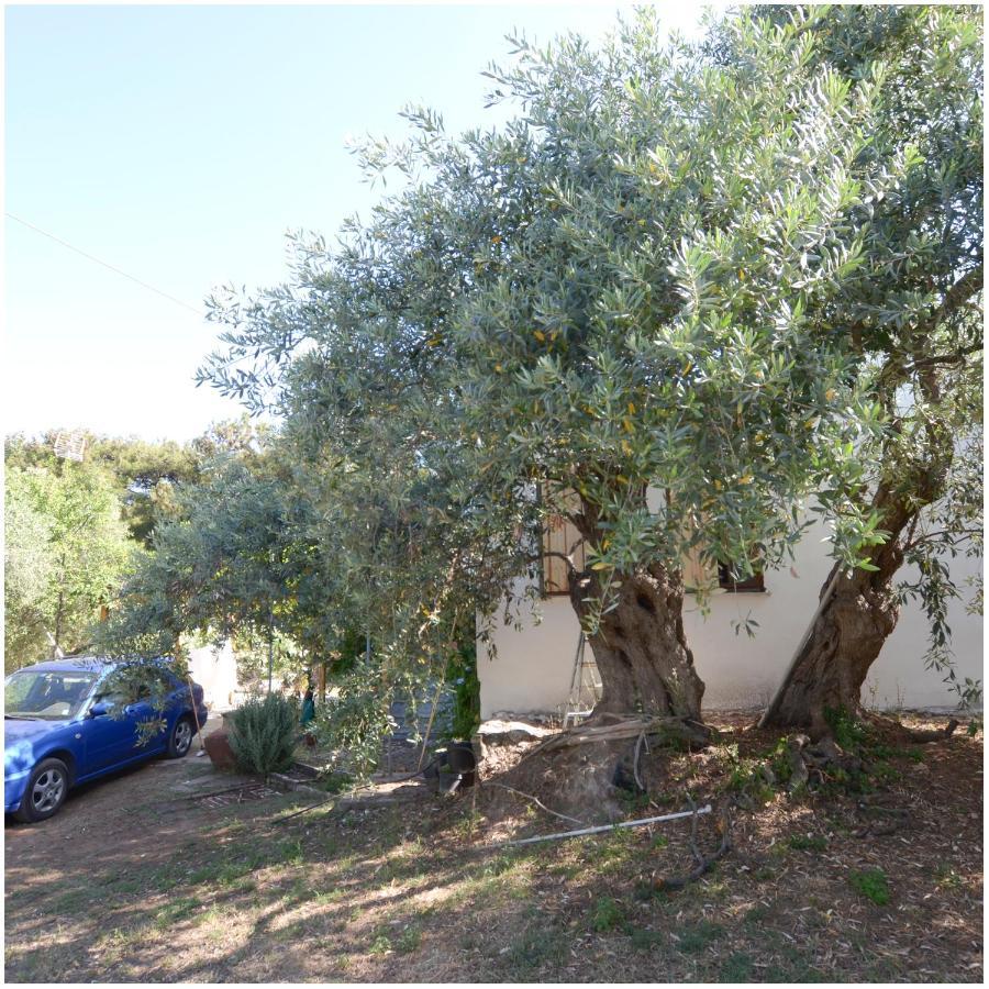 Το Σπίτι Με Το Πηγάδι - Wellcottage Thassos สกาลา กัลลีราคิส ภายนอก รูปภาพ