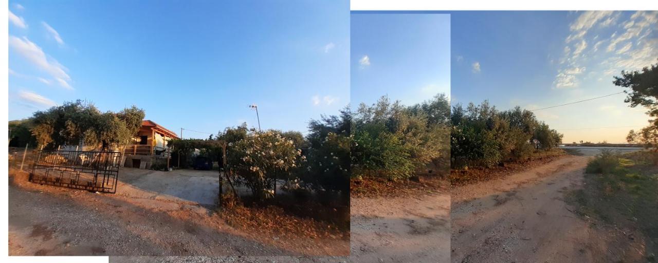 Το Σπίτι Με Το Πηγάδι - Wellcottage Thassos สกาลา กัลลีราคิส ภายนอก รูปภาพ